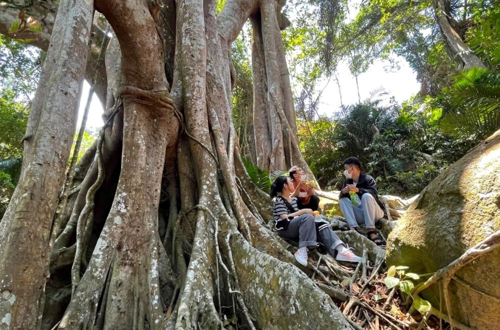 tour trekking Đà Nẵng cây đa con nai