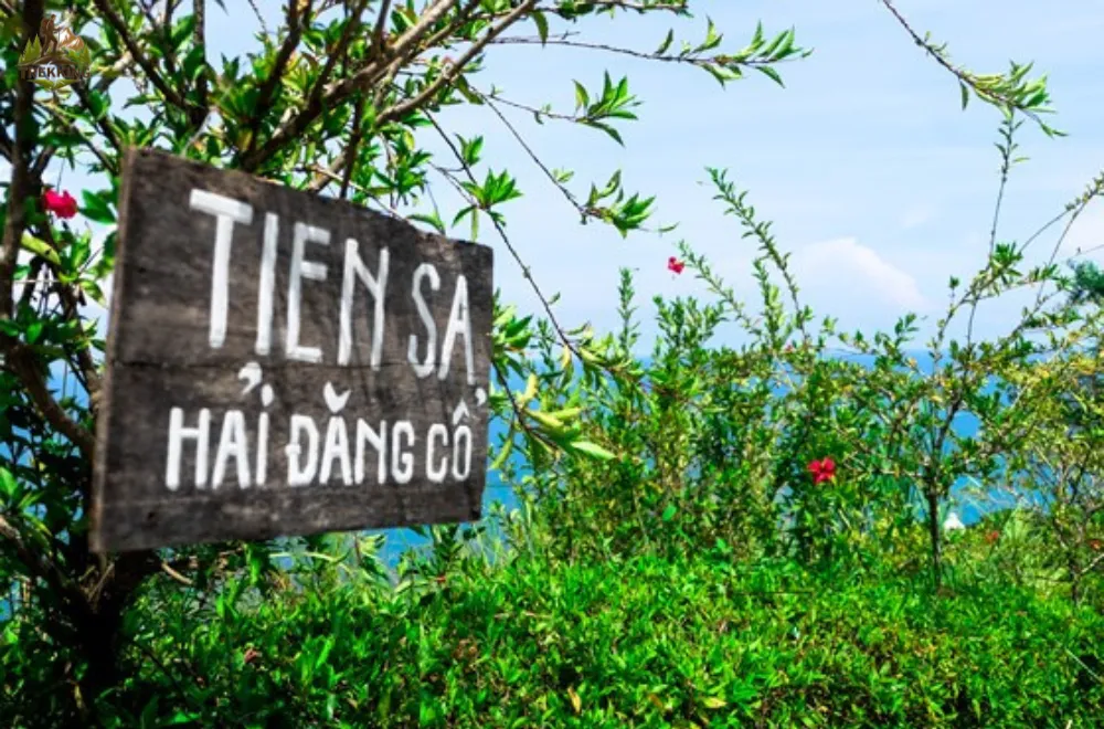 hai-dang-tien-sa-1