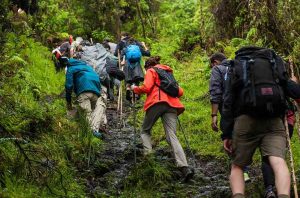 leo núi trekking