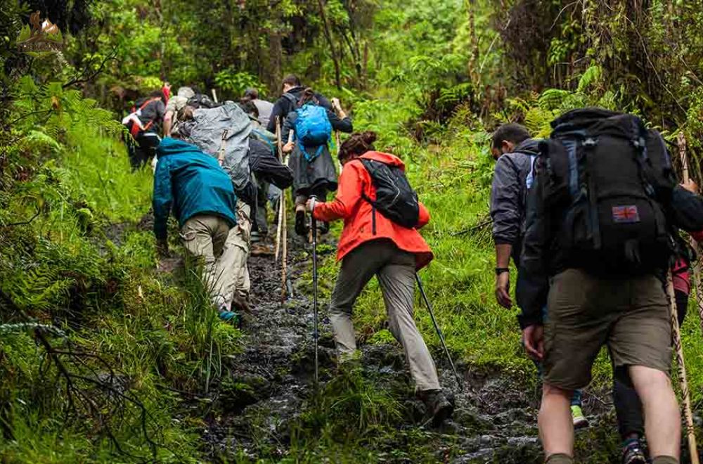 leo núi trekking