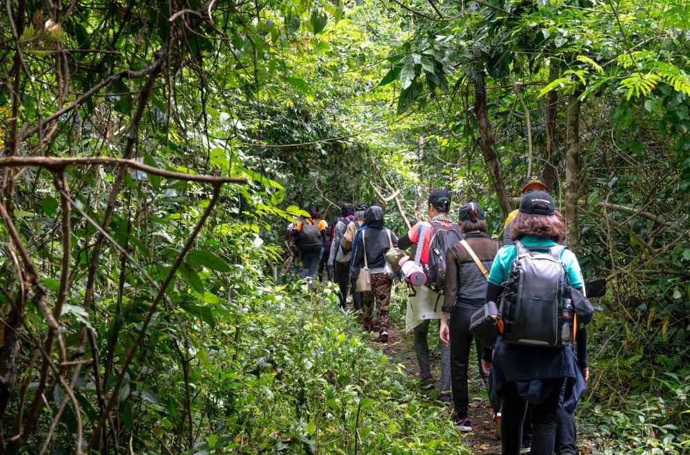 Kinh nghiệm trekking