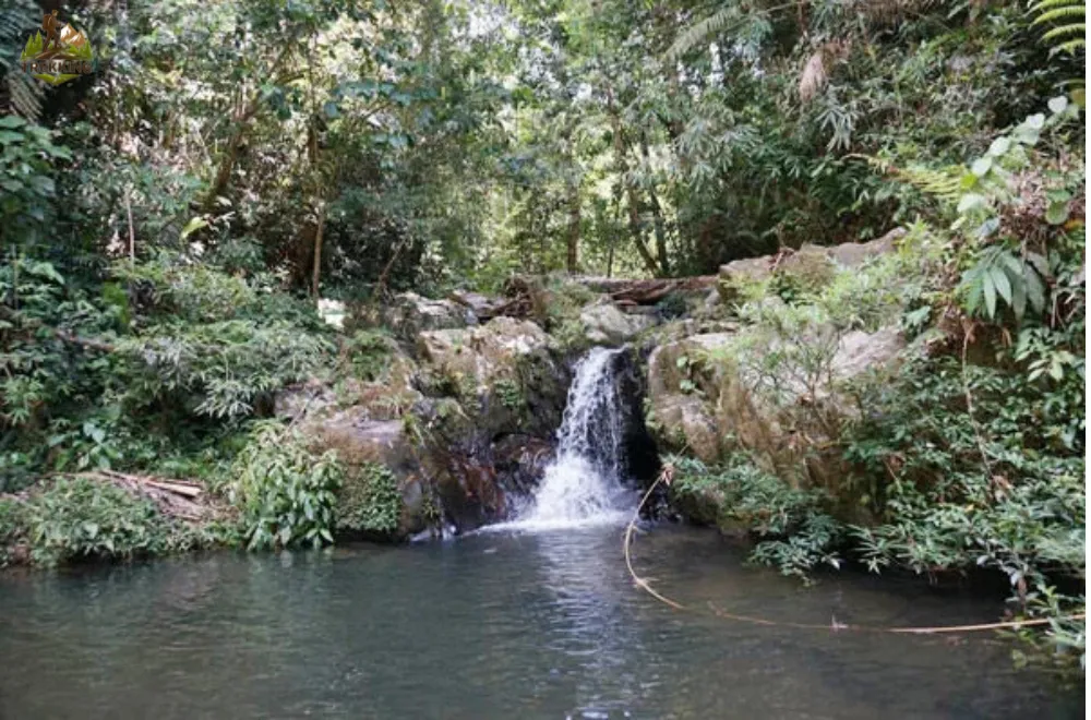 suoi-tu-nhien-lang-aur-tay-giang