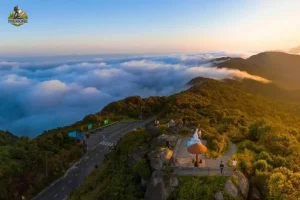 sơn trà