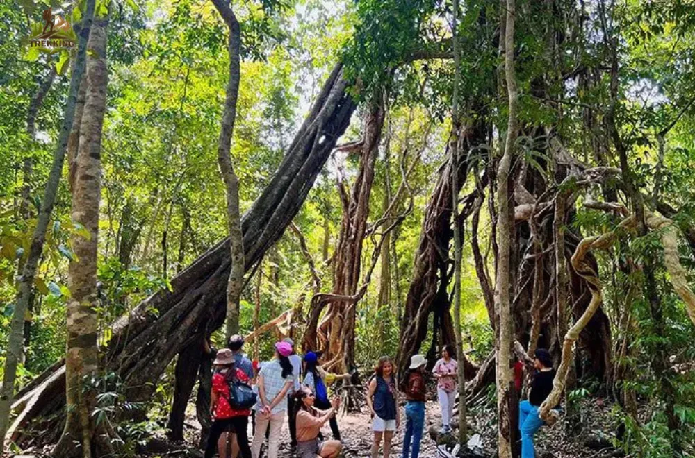 trekking-cay-da-ngan-nam